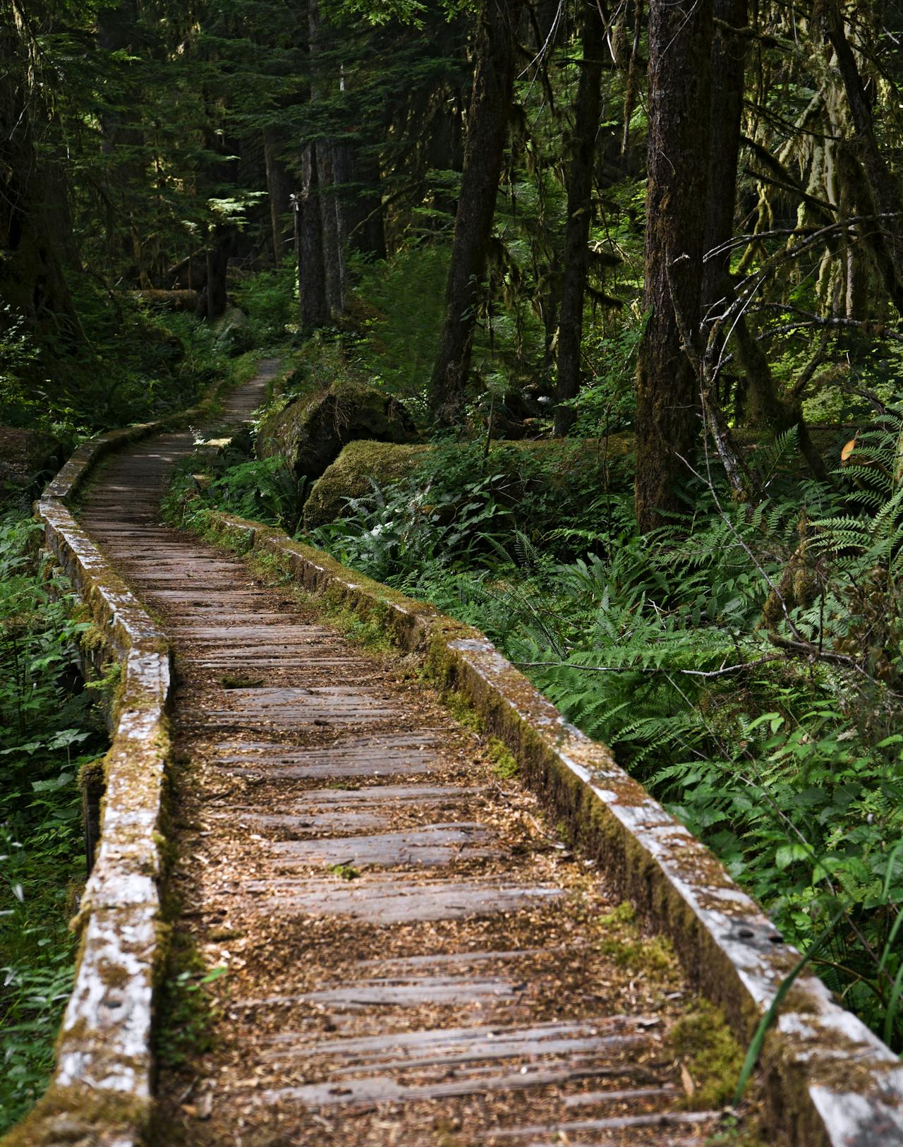 Explore Olympic National Park Explore Olympic National Park