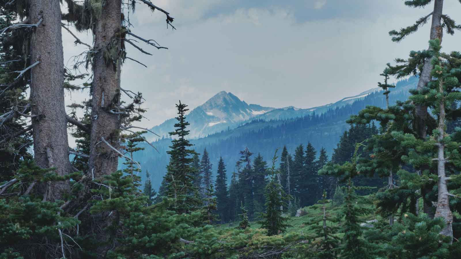 Retreat Rentals in Forks, Washington Retreat Rentals in Forks, Washington